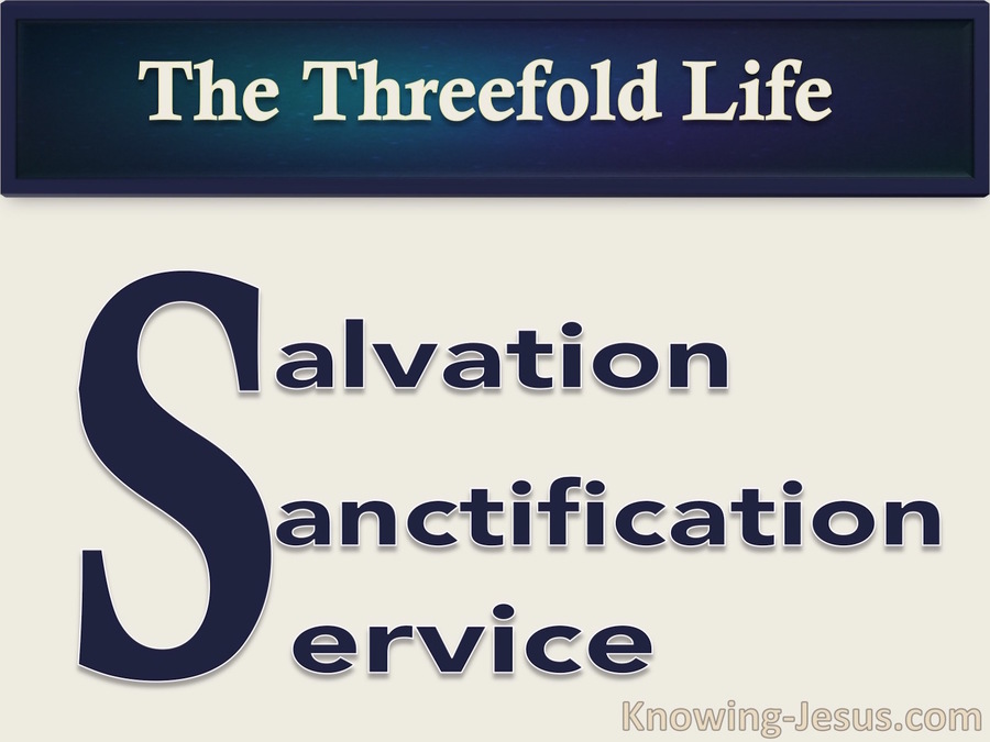 The Threefold Life (devotional)05-12 (navy)